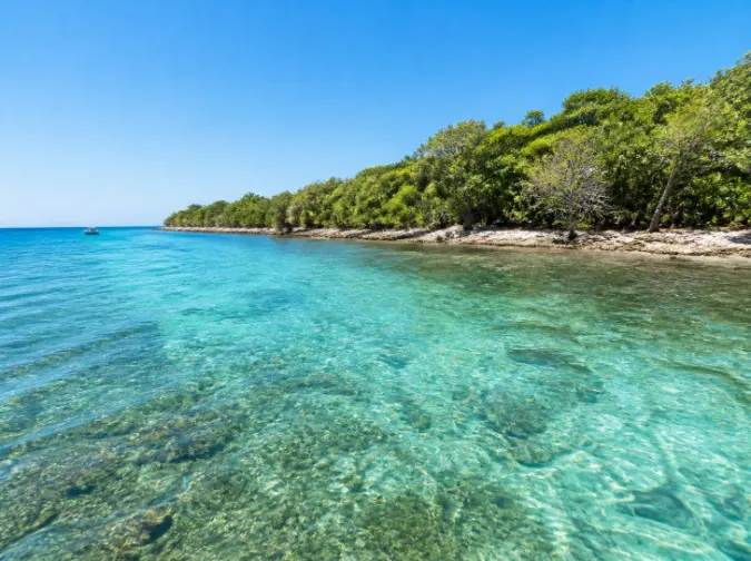 Pulau Menjangan