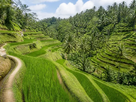 Ubud