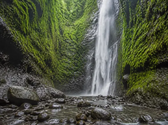 Paket Tour Air Terjun Madakaripura