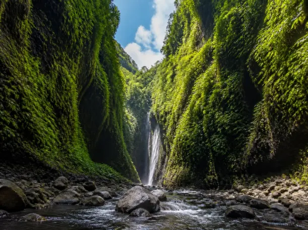 Paket Tour Air Terjun Madakaripura