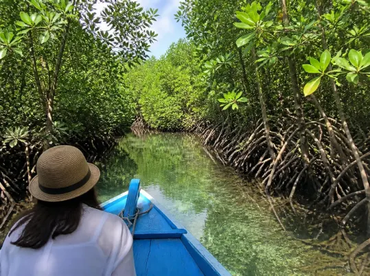 Paket Trip Nusa Lembongan Mangrove