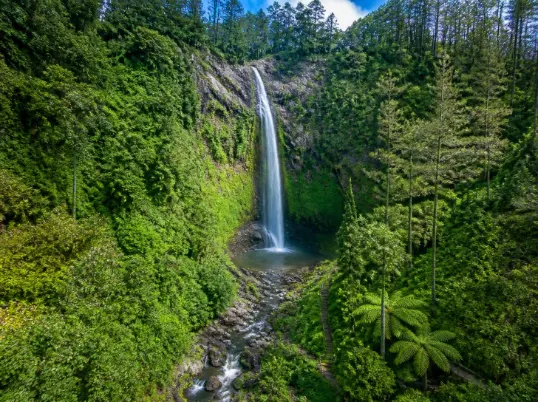 Paket Tour Coban Rondo