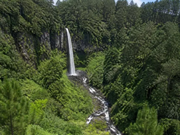 Paket Tour Coban Talun