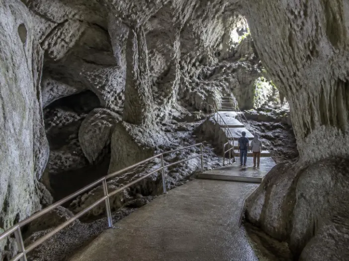 Paket Tour Goa Jatijajar