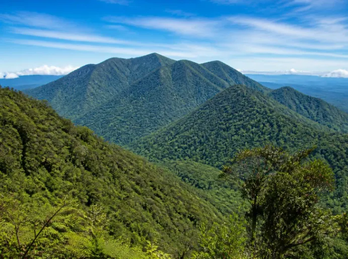 Paket Tour Gunung Anjasmoro