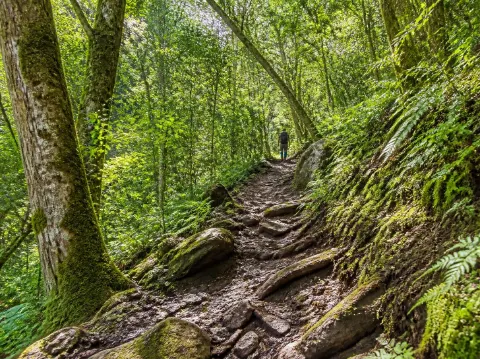 Paket Tour Gunung Anjasmoro