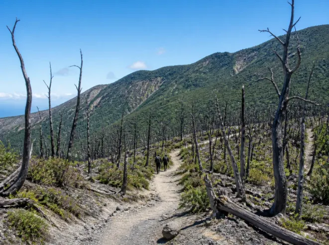 Paket Tour Gunung Papandayan