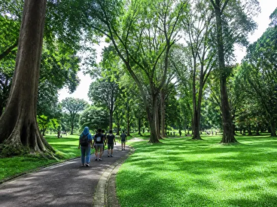 Paket Tour Kebun Raya Bogor