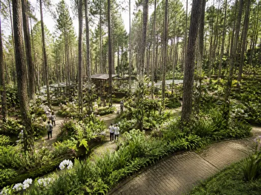 Paket Tour Orchid Forest Cikole