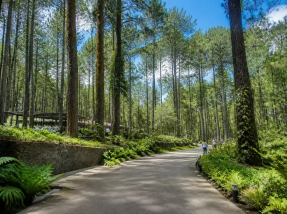 Paket Tour Orchid Forest Cikole