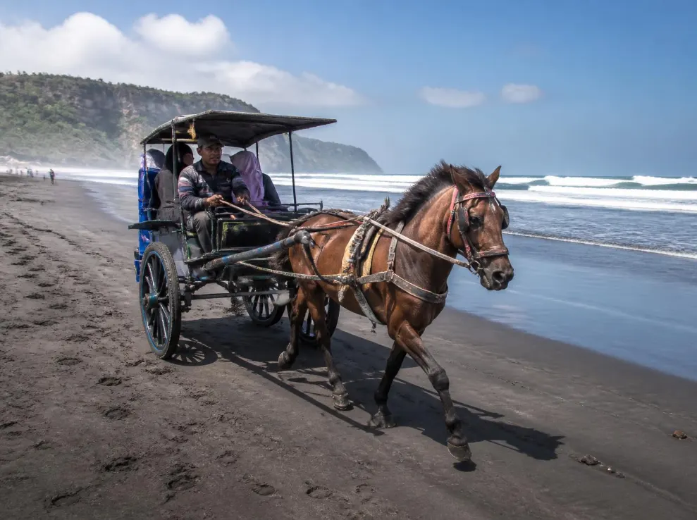 Paket Tour Pantai Parangtritis