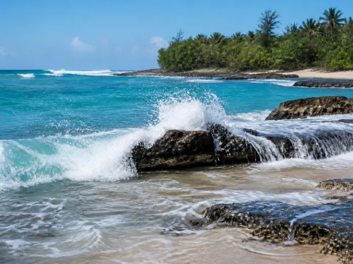 Paket Tour Pantai Ujung Genteng