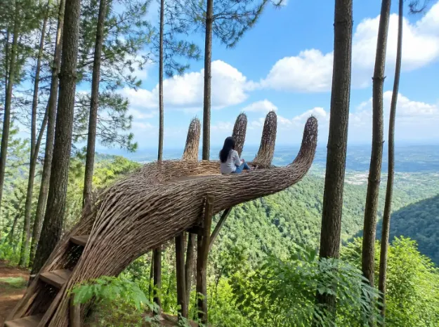 Paket Tour Pinus Pengger
