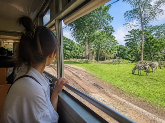 Paket Tour Bali Safari & Marine Park