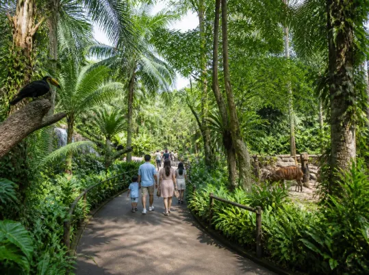 Paket Tour Bali Safari & Marine Park
