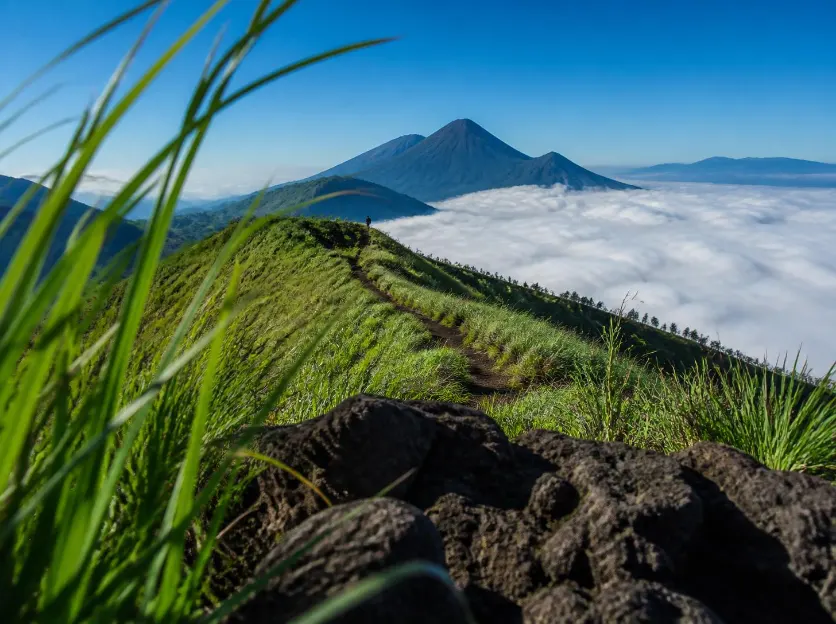 Paket Tour Sikunir