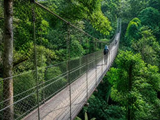 Paket Tour Situ Gunung