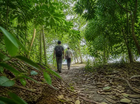 Paket Tour Taman Nasional Ujung Kulon