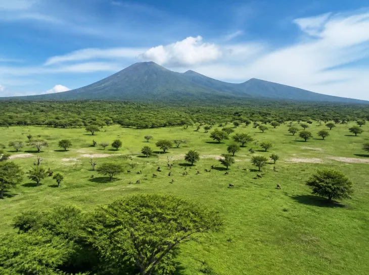 Paket Tour Taman Nasional Baluran