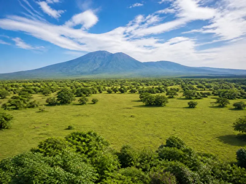 Paket Tour Taman Nasional Baluran