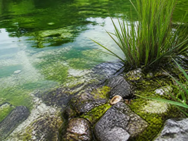 Paket Tour Telaga Warna Dieng