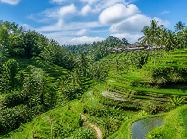Review perjalanan dan pengantaran kembali